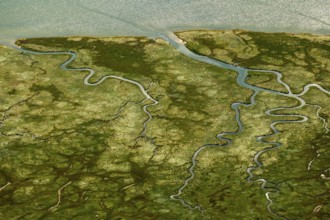 Ostheller, salt marshes with Prilen, Wadden Sea, aerial view, Norderney, North Sea, North Sea