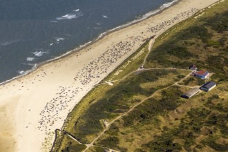 Nordstrand, aerial view, Spiekeroog, North Sea, North Sea island, East Frisian Islands, Lower