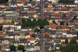 Neckarstadt Draisstraße with tree island, city centre square, Mannheim, Baden-Württemberg, Germany,
