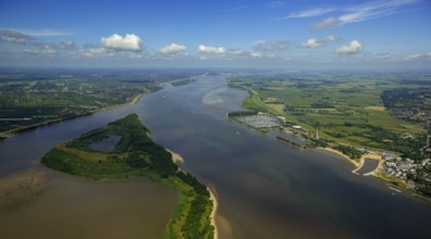 Elbe, tidal flats at low tide on an island in the Elbe near Wedel and Jork, Wedel, Lower Saxony,