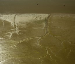 Elbe, tidal flats at low tide on an island in the Elbe near Wedel and Jork, Wedel, Lower Saxony,