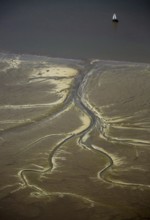 Elbe, tidal flats at low tide on an island in the Elbe near Wedel and Jork, Wedel, Lower Saxony,