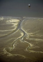 Elbe, tidal flats at low tide on an island in the Elbe near Wedel and Jork, Wedel, Lower Saxony,