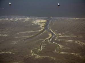 Elbe, tidal flats at low tide on an island in the Elbe near Wedel and Jork, Wedel, Lower Saxony,