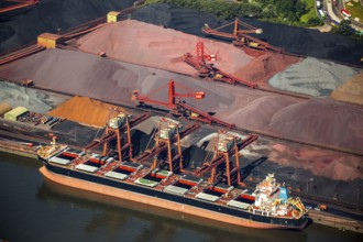 Sandauhafen, Hansaport, bulk goods, Hamburg harbour, Elbe, Hamburg, Free and Hanseatic City of