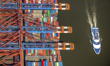Harbour tour excursion ship, container loading, container gantry cranes, container cranes,