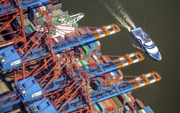 Harbour tour excursion ship, container loading, container gantry cranes, container cranes,
