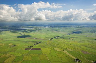 Fields in the polder land, drainage ditches in the marshes, green landscape, Bunde unified