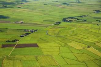 Fields in the polder land, drainage ditches in the marshes, green landscape, Bunde unified