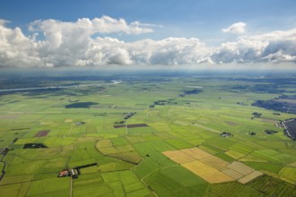 Fields in the polders, drainage ditches in the marshes, green landscape, Bunde, Emsland, Lower