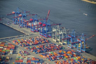 Hamburg harbour, container port Waltershof, container, container cranes, Hamburg, Germany, Europe,