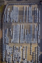 UniKai shipping of cars and lorries to Africa, car queues, car dump, cargo vehicles, new vehicles,