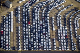 UniKai shipping of cars and lorries to Africa, car queues, car dump, cargo vehicles, new vehicles,