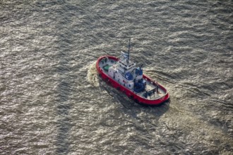 Harbour tug ZP Cocon in Hamburg harbour, Hamburg, Germany, Europe, aerial view, birds-eyes view,