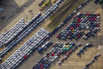 UniKai shipping of cars and lorries to Africa, car queues, car dump, cargo vehicles, new vehicles,