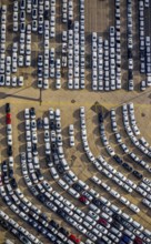 UniKai shipping of cars and lorries to Africa, car queues, car dump, cargo vehicles, new vehicles,