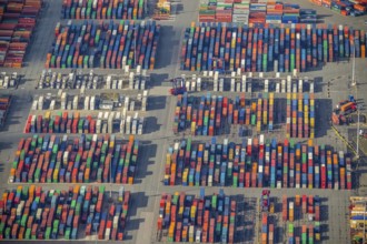 Hamburg harbour, container port Waltershof, container, container cranes, Hamburg, Germany, Europe,