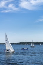 Sailboats on Kiel Fjord, Kiel, Holtenau district, Baltic Sea, wind, baluer sky, shore, forest,