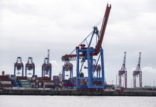 Loading cranes and stacks of containers, Port of Hamburg, container terminal, Hamburg, Germany