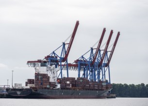 Container ship, loading cranes and stacks of containers, Port of Hamburg, container terminal,