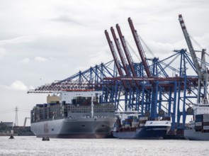 Container ships in the Port of Hamburg, container terminal, Hamburg, Germany