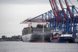 Container ships, loading cranes and stacks of containers, Port of Hamburg, container terminal,
