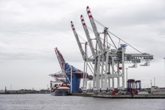 Container ship, loading cranes and stacks of containers, Port of Hamburg, container terminal,