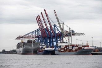 Container ships, loading cranes and stacks of containers, Port of Hamburg, container terminal,
