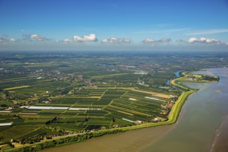 Finkenwerder, Altes Land, orchards, Hamburg, Free and Hanseatic City of Hamburg, Germany, Europe,