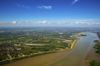Finkenwerder, Altes Land, orchards, Hamburg, Free and Hanseatic City of Hamburg, Germany, Europe,