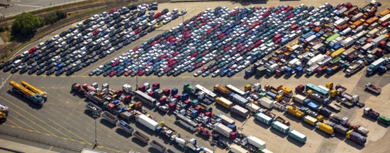 Used car loading at Hansahafen, Unikai in Hamburg harbour, Hamburg harbour, Elbe, Hamburg, Free and