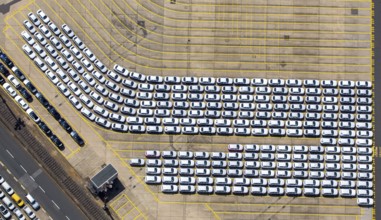 New car loading at Hansahafen, Unikai in Hamburg harbour, Hamburg harbour, Elbe, Hamburg, Free and