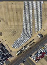 New car loading at Hansahafen, Unikai in Hamburg harbour, Hamburg harbour, Elbe, Hamburg, Free and