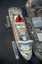 Cruise terminal, Unilever House cruise ship Queen Mary 2, Hamburg harbour, Elbe, Hamburg, Free and