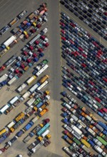 Used car loading at Hansahafen, Unikai in Hamburg harbour, Hamburg harbour, Elbe, Hamburg, Free and