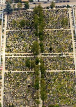 Cemetery Regensburg, Upper Catholic Cemetery Regensburg, row graves, military graves, Regensburg,