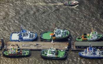 Tugboat in the Port of Hamburg, Port of Hamburg, Elbe, Hamburg, Free and Hanseatic City of Hamburg,