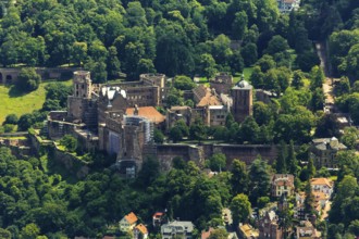 Heidelberg Castle, Heidelberg Castle, Heidelberg Castle Ruins, Heidelberg, Rhein-Neckar-Kreis,