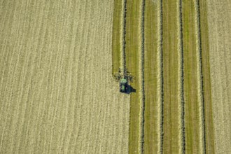Aerial view, agricultural area, tractor mowing meadow, Gennebreck, Sprockhövel, Ruhr area, North