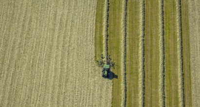 Aerial view, agricultural area, tractor mowing meadow, Gennebreck, Sprockhövel, Ruhr area, North