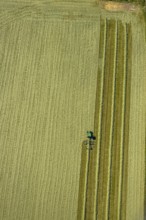 Aerial view, agricultural area, tractor mowing meadow, Gennebreck, Sprockhövel, Ruhr area, North