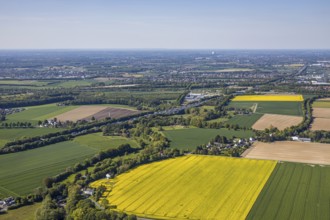 Aerial view, rape fields at the Massener Heide, motorway A1, Unna, Ruhr area, North