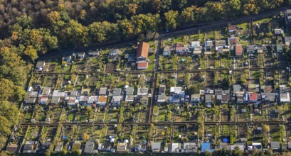 Aerial view, Gartenbauverein Bergmannslust e.V., Möllen, Voerde, Ruhr area, North Rhine-Westphalia,