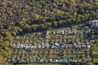 Aerial view, Gartenbauverein Bergmannslust e.V., Möllen, Voerde, Ruhr area, North Rhine-Westphalia,