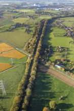 Aerial view, wooded railway line along Frankfurter Straße, reactivation of the Walsum railway,