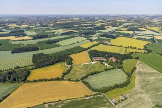 Aerial view, Haus-Giesking stud farm, moated castle, horse stud farm, Appelhülsen, Nottuln,