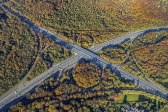 Aerial view, motorway junction Oberhausen, motorway A2, federal road B516, forest area in autumn