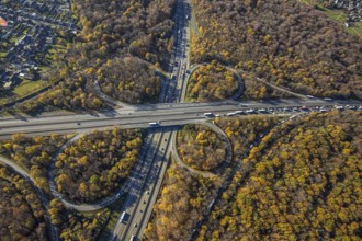Aerial view, motorway junction Oberhausen, motorway A3, federal road B516, forest area in autumn