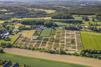 Aerial view, tree plots, tree nursery Wittener Straße 206, Ostholt, Hiddinghausen, Sprockhövel,