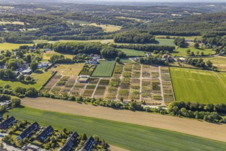 Aerial view, tree plots, tree nursery Wittener Straße 206, Ostholt, Hiddinghausen, Sprockhövel,